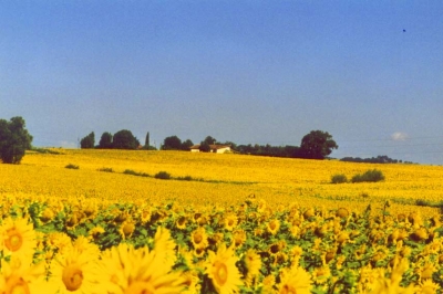 maison location de vacances Lamothe Goas